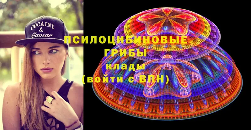 Псилоцибиновые грибы Magic Shrooms  Любань 